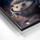 Janu Astronaut Hedgehog